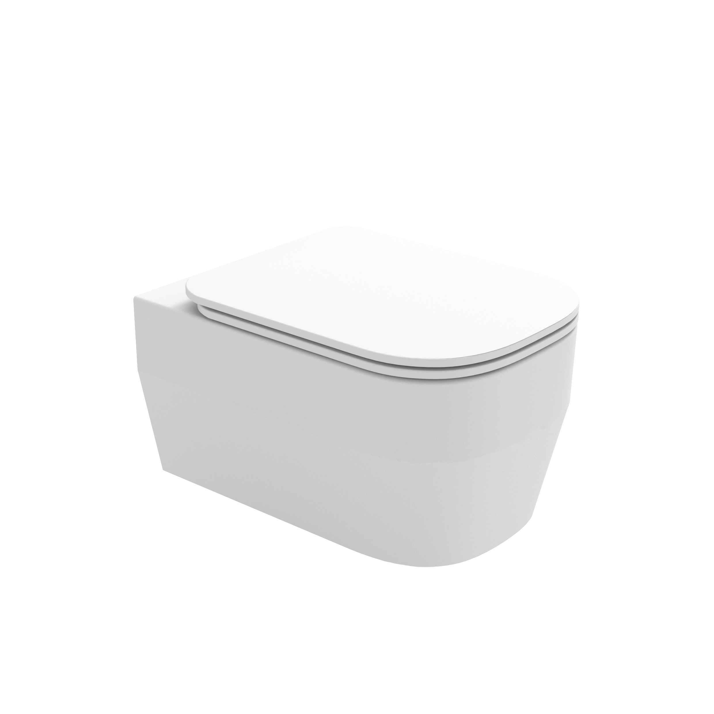 TUE1202R11 Унитаз подвесной безободковый Olympia Tutto-Evo (цвет - белый матовый)