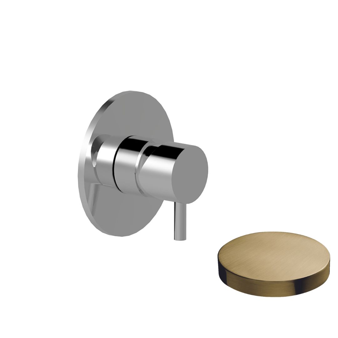 5915EPOSP Внешняя часть для встраиваемого однорычажного смесителя Giulini My Future, для душа (цвет- золото брашированное)