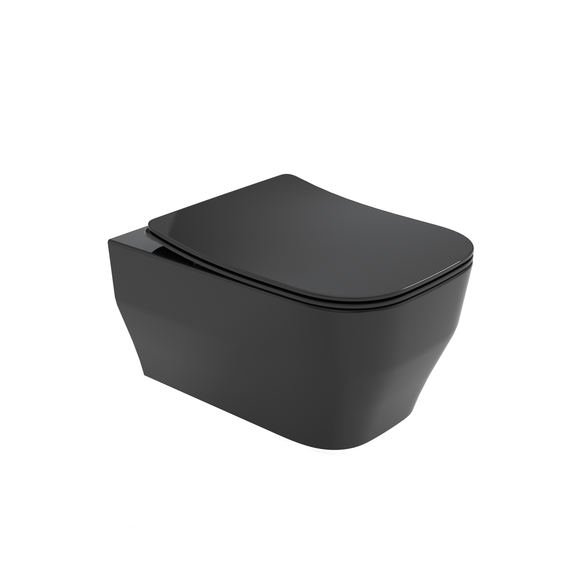 SYN1202R13 Унитаз подвесной безободковый Olympia Synthesis Eco с креплениями (цвет - черный глянцевый)